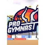 Steam Pro Gymnast Key GLOBAL | ePonuda.com