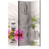 Artgeist PARAVAN 135/172/3 cm pink, svetlo siva Cene