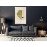  Poster - Cross Section of a Leaf 30x45 | shoptok.hr