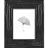 ecoTree Okvir Za Slike Frido | Shoptok.si