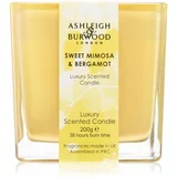 Ashleigh & Burwood London Life in Bloom Sweet Mimosa & Bergamot mirisna svijeća 200 g