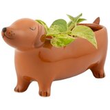 Sass & Belle Keramička ukrasna tegla za cvijeće Sausage Dog – | shoptok.hr