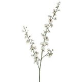  Umjetni cvijet Oncidijum (Visina: 78 cm, Blanca, Plastika) | shoptok.hr