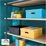 Leitz Škatla za shranjevanje Cosy s pokrovom, 369 x 200 x 482 mm, siva | Shoptok.si