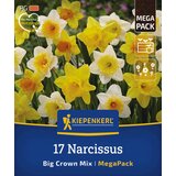 KIEPENKERL Mega pakiranje narcis "Big Crown Mix" - 17 k. Cene