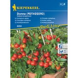 KIEPENKERL Sjeme povrća rajčica Donna (Solanum lycopersicum, Berba: Srpanj) Cijene