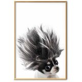  Plakat - Chihuahua 60x90 Zlatni okvir | shoptok.hr