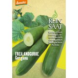 ReinSaat Solatna kumara "Gergana" | Shoptok.si