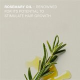 Weleda Rosemary darilni set za okrepitev in rast las | Shoptok.si