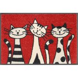 wash+dry PREDPRAŽNIK Three Cats 40/60 cm potiskano rdeča | Shoptok.si