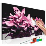  Slika za samostalno slikanje - Pink Orchid (Black Background) 60x40 | shoptok.hr