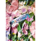 Marvis Limited Edition Sinous Lily zobna pasta 75 ml | Shoptok.si
