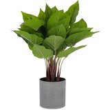 Kave Home Umetno cvetje Quiver , višina 50 cm Cene