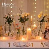 HEWORY 6x steklena cilindrična vaza 25 cm, Ø 8,5 cm, prozorna | Shoptok.si