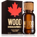 Dsquared2 Wood Pour Homme toaletna voda za muškarce 30 ml | shoptok.hr