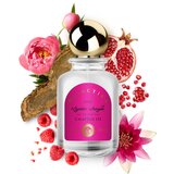 Miraculum Olfactica Chapter III - Mystic Angel parfumska voda za ženske 50 ml | Shoptok.si