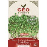 Bavicchi Bio kalčki "brokoli" - 13 g Cene