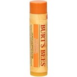 Burt's Bees balzam za usne s mango maslacem Cijene