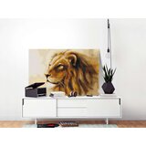  Slika za samostalno slikanje - Lion King 60x40 | shoptok.hr