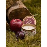 Sinsay Svijeća Cinamon Nutmeg | shoptok.hr
