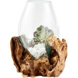 Ambia Home VAZA 30 cm les, steklo | Shoptok.si