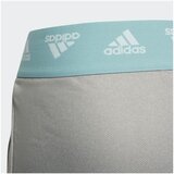 Adidas Hlače H16905 Siva | Shoptok.si