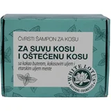 Čvrsti šampon za suvu kosu Herbateria, 60g