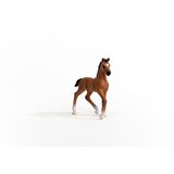 Schleich oldenburger ždrebac figura (4059433432977) | shoptok.hr