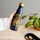 Grupo Erik Editores S. L. Hogwarts Boca od Nehrđajućeg Čelika 500ml | shoptok.hr