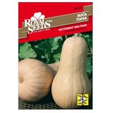 ROYAL SEEDS Sjeme povrća 165 TIKVA BUTTERNUT WALTHAM | shoptok.hr