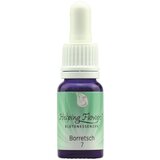 Helping Flowers® nr. 7 Boraga | Shoptok.si