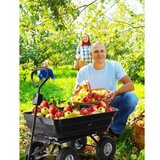 Chomik Garden Line Dvofunkcijska vrtna kolica – Zelena | shoptok.hr