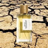 Parfem White Sandalwood edp 100ml | Eponuda.com