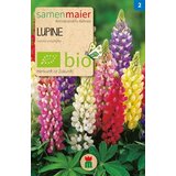Samen Maier BIO volčji bob - mešanica Cene