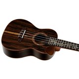 AUDIO KONDRIC Ukulele Ortega RUET-ZC+Torba - - Audio-Kondric | Shoptok.si