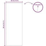  Stensko ogledalo 30 x 80 cm kaljeno steklo, (5000091066) | Shoptok.si