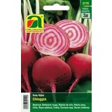 AUSTROSAAT Rdeča pesa "Chioggia" Cene