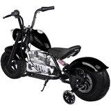  Električni motor do 80kg črn | Shoptok.si