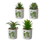 Casa Selección Umjetne biljke u setu 4 kom Cactus – Cijene