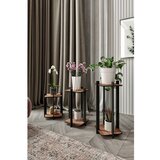 Hanah home Flower Desk Kvadratni stalak za cvijeće, orah u