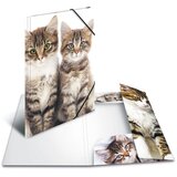 Herma Mapa z elastiko A3 PP, Muce | Shoptok.si