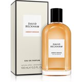 David Beckham Amber Breeze parfumska voda za moške 100 ml | Shoptok.si