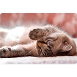 Tts Stona mapa 60×40 Little Cat Cijene