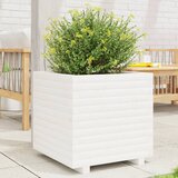 Maison Chic Vrtno cvetlično korito - Cvetlični Lonec belo 50x50x49,5 cm trdna borovina, (21788890) | Shoptok.si