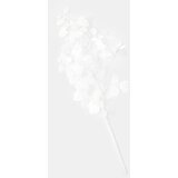 Sinsay Ukrasna umjetna biljka | shoptok.hr