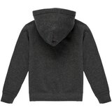 Polo Ralph Lauren Puloverji LS PO HOOD Siva | Shoptok.si
