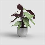 Artevasi Cvetlični lonec iz reciklirane plastike ø 30 cm Havana – | Shoptok.si