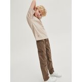 Reserved - Hlače classic denim regular - Rjava | Shoptok.si