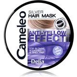 Delia Cosmetics Cameleo Silver maska za lase za nevtralizacijo rumenih odtenkov 200 ml Cene