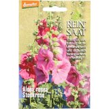 ReinSaat Rožlin '' Alcea rosea fl.pl '' | Shoptok.si